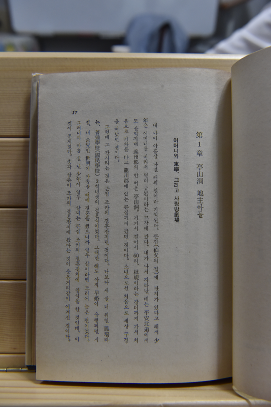 문학자서전 - 진리와 현실