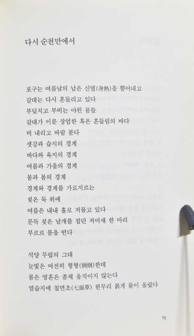 인디오 여인 (곽효환시집,초판저자증정본)