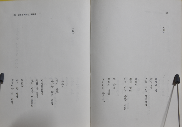 양면불
