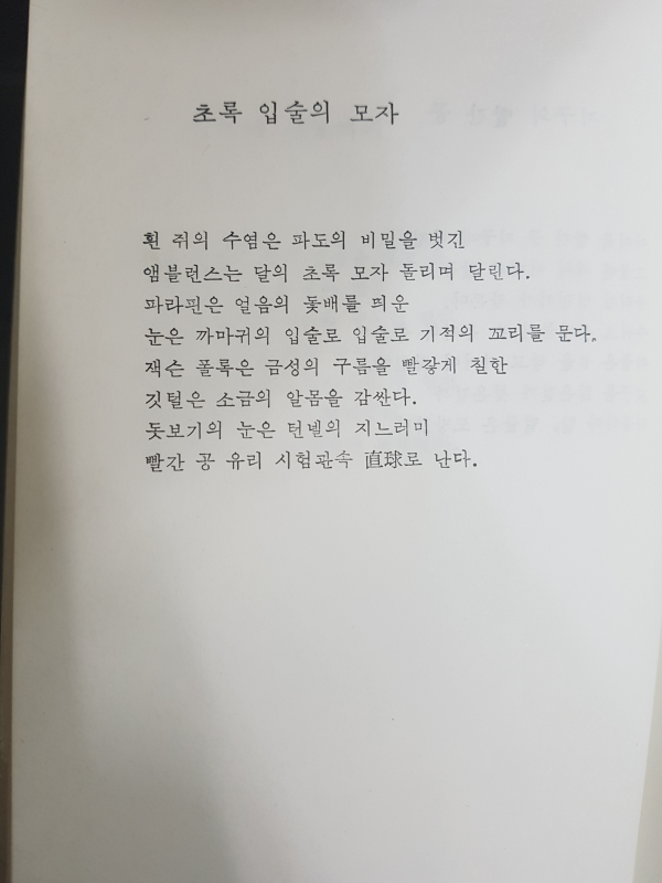 기지촌의 수족관