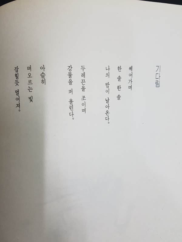 선비의 머리카락