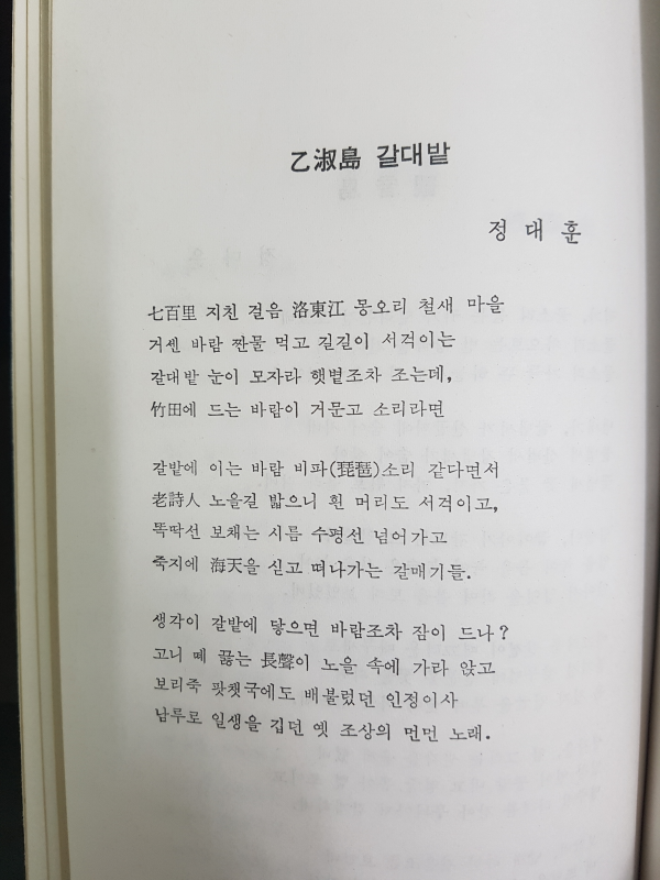 빛살들의 군무
