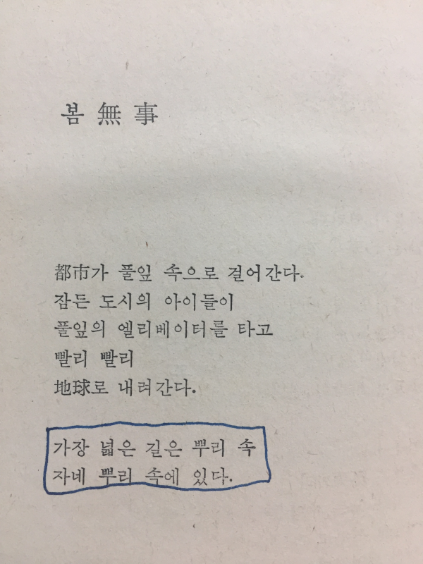 풀잎 (강은교시선)