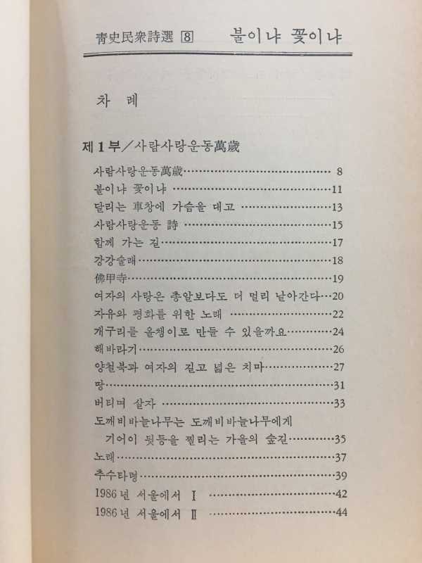 불이냐 꽃이냐 (김준태시집)
