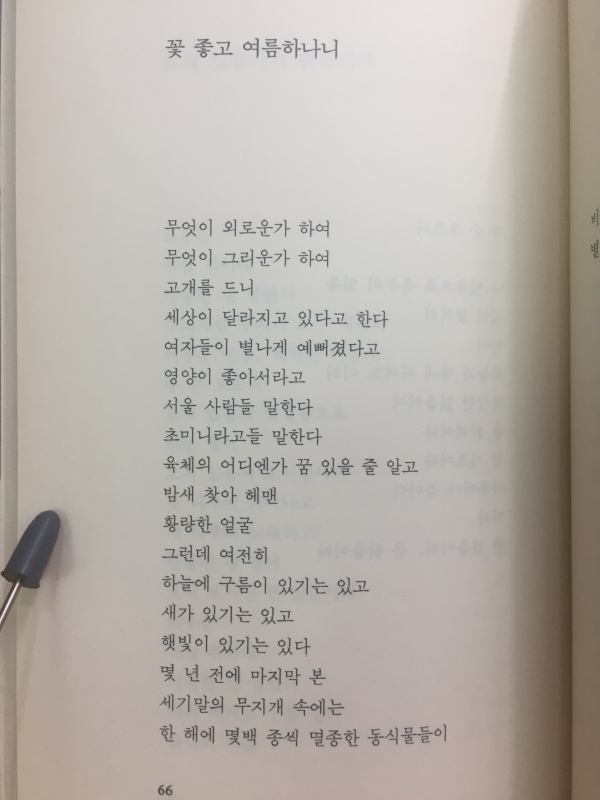홀로 등불을 상처 위에 켜다