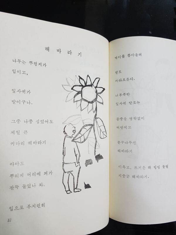 해바라기