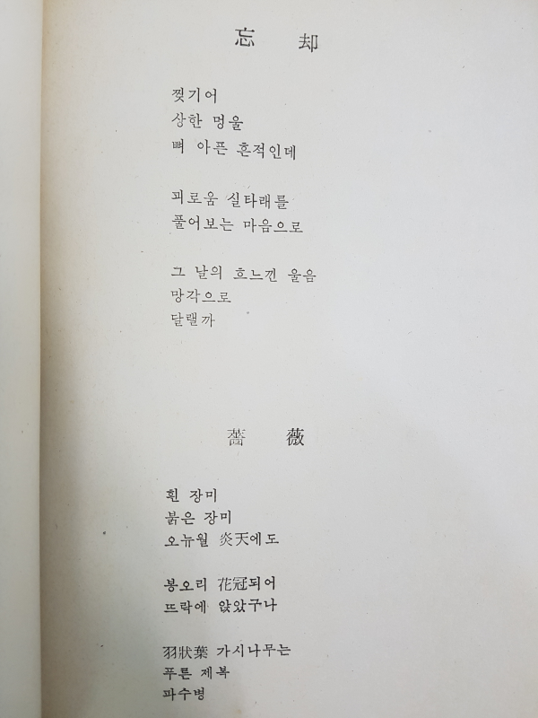산심의 노래