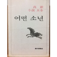 어떤 소년 (고은소설모음)