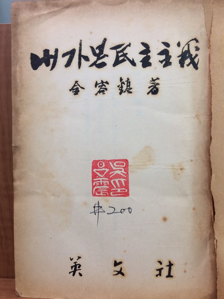 내가 본 민주주의