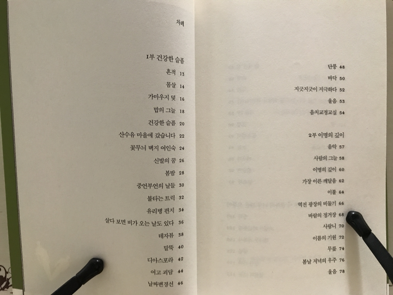 기억의 못갖춘마디 (강연호시집)