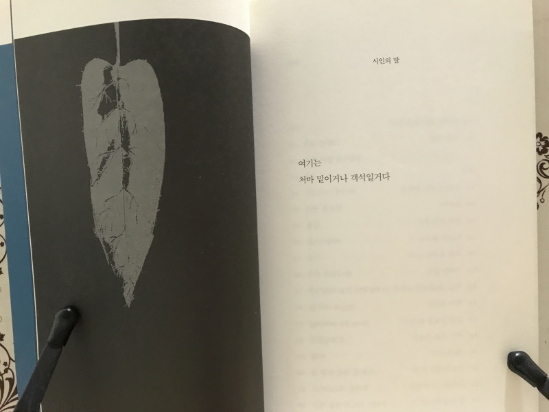 지상의 하루 (임곤택시집)