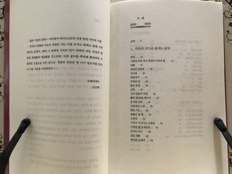 왼손을 위한 협주곡 (김승희시집)