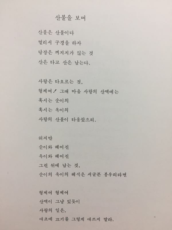비 듣는 가을 나무