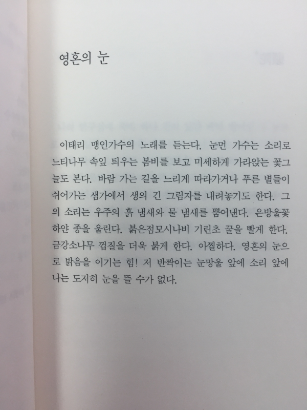영혼의 눈(허형만시집,초판저자서명본)