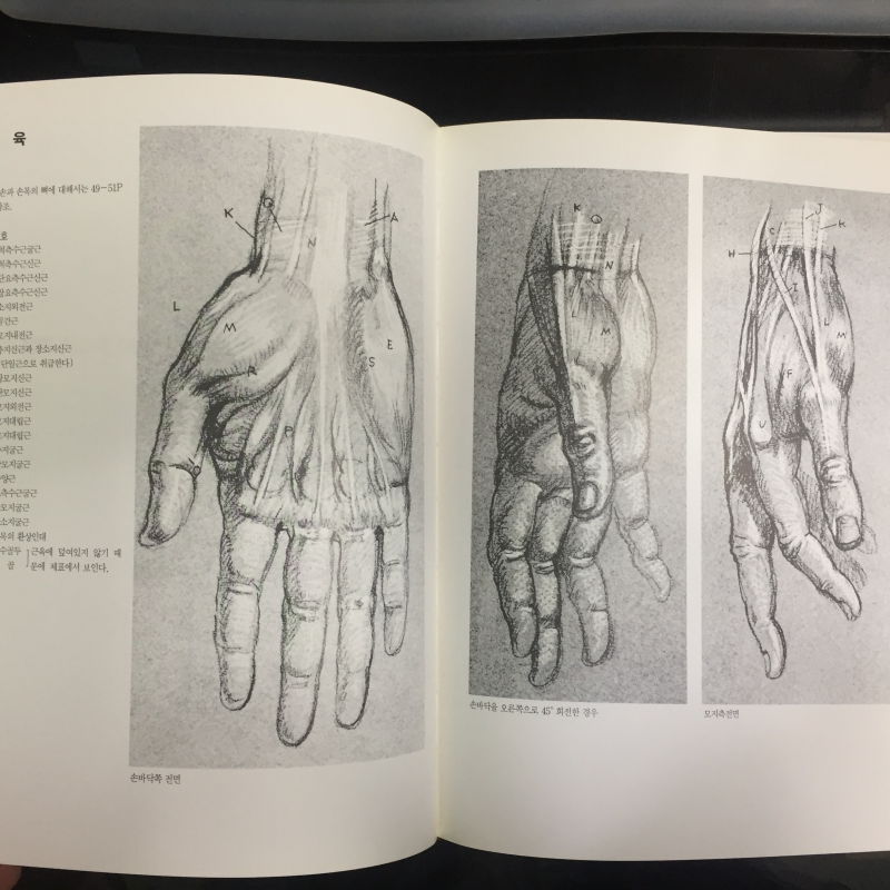 미술해부도 & MASTER DRAWINGS 총2권