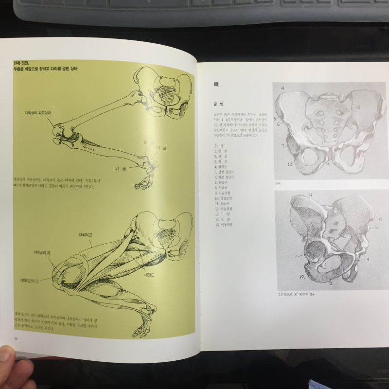 미술해부도 & MASTER DRAWINGS 총2권