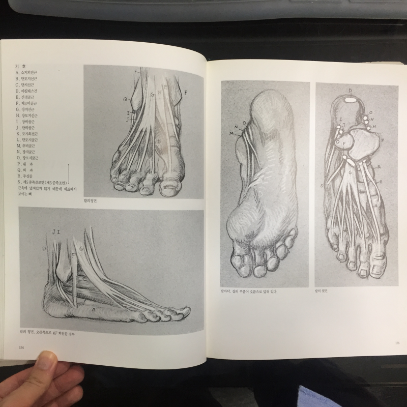 미술해부도 & MASTER DRAWINGS 총2권