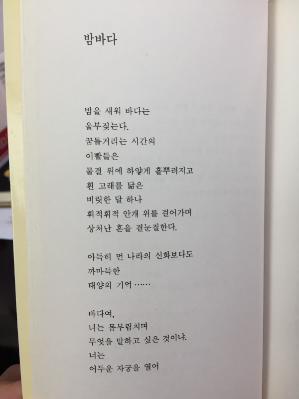 우리들의 숲(윤정선 시집,초판)