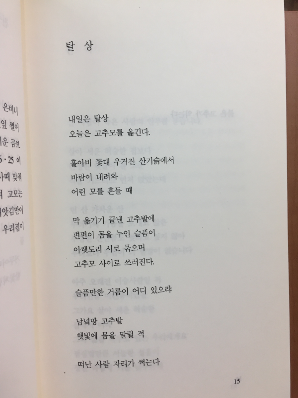 슬픔만한 거름이 어디 있으랴(허수경 시집)