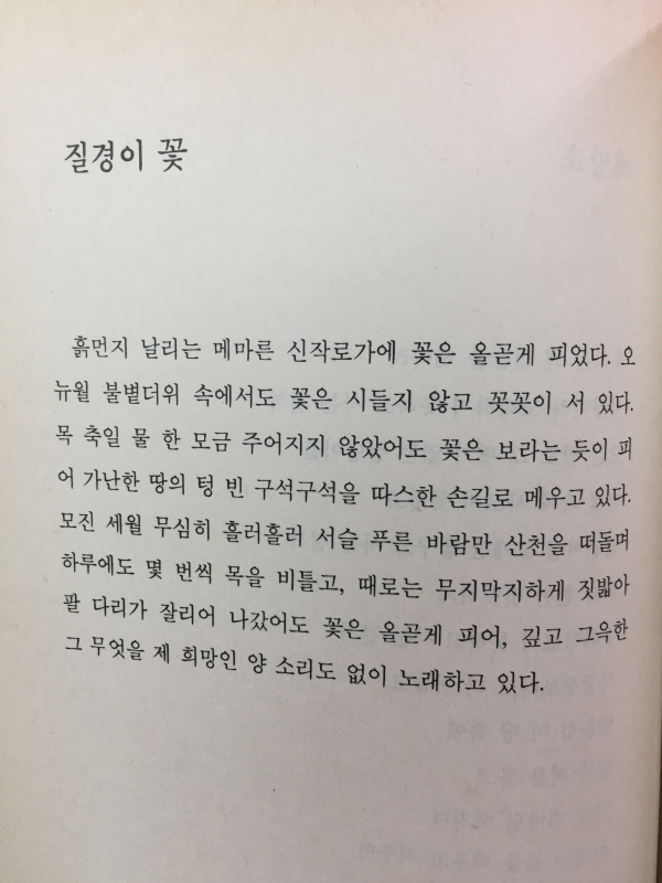 벙어리 연가(양문규 시집,초판)