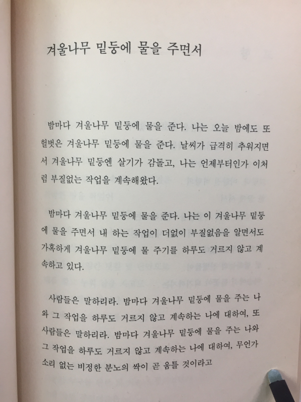 벙어리 연가(양문규 시집,초판)