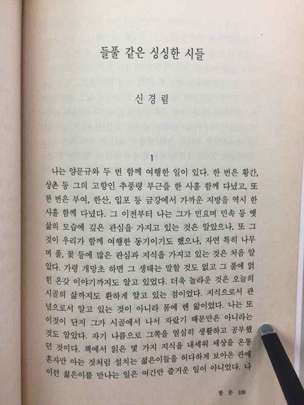 벙어리 연가(양문규 시집,초판)