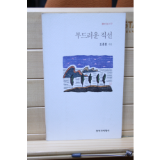 부드러운 직선 (도종환 시집,초판)