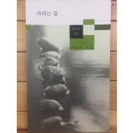 자라는 돌 (송진권시집,초판)