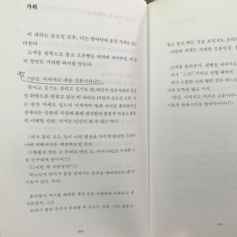 어른스런 입맞춤 (정한아시집,초판)