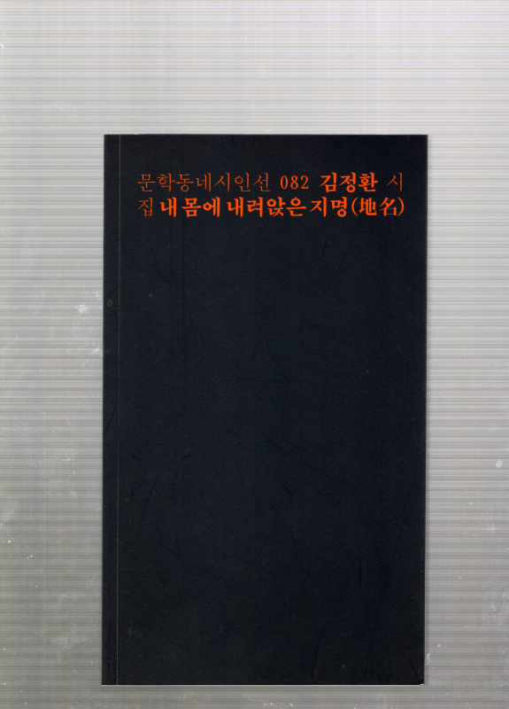 내 몸에 내려앉은 지명(地名) (김정환시집,초판)