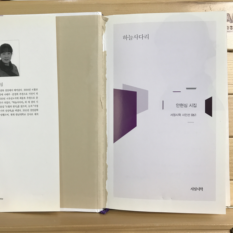 하늘사다리 (안현심시집,초판)