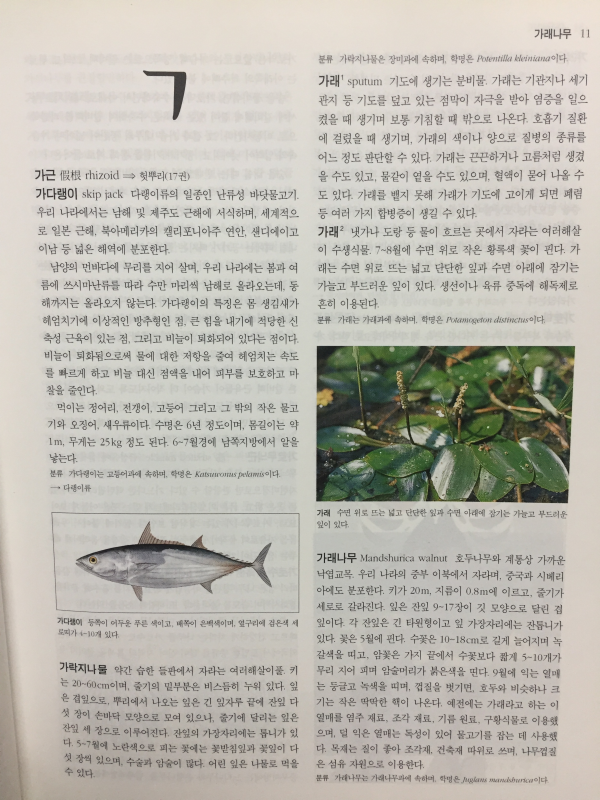 21세기 웅진학습백과사전 전21권