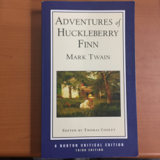 ADVENTURES OF HUCKLE BERRY FINN