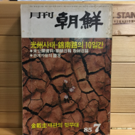 월간 조선 1985.7