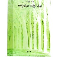 바람타고 크는 나무 (김영훈시집,초판)