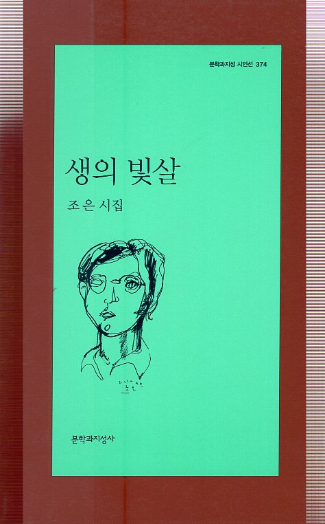 생의 빛살 (조은시집,초판)