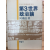 제3세계 정치론