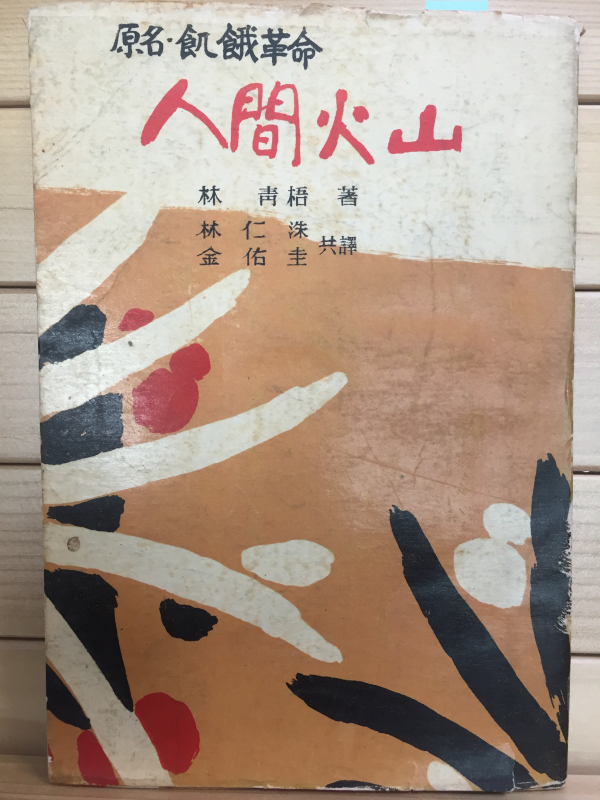 인간화산