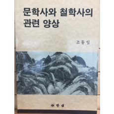 문학사와 철학사의 관련 양상