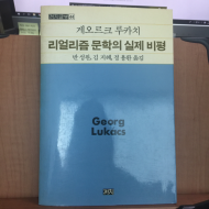 리얼리즘 문학의 실제 비평