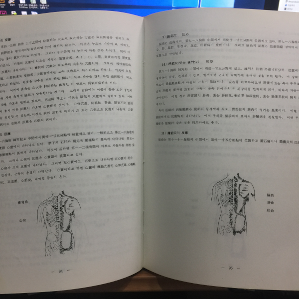 음양맥진법과 보사