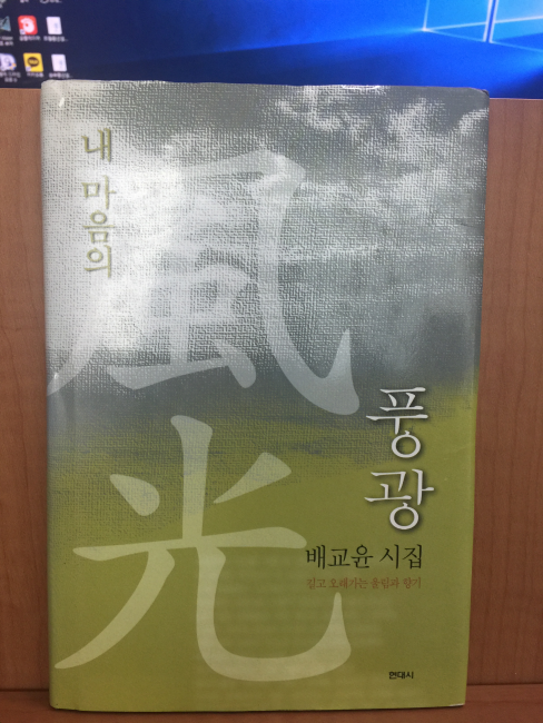 내 마음의 풍광 (배교윤시집,2003초판)