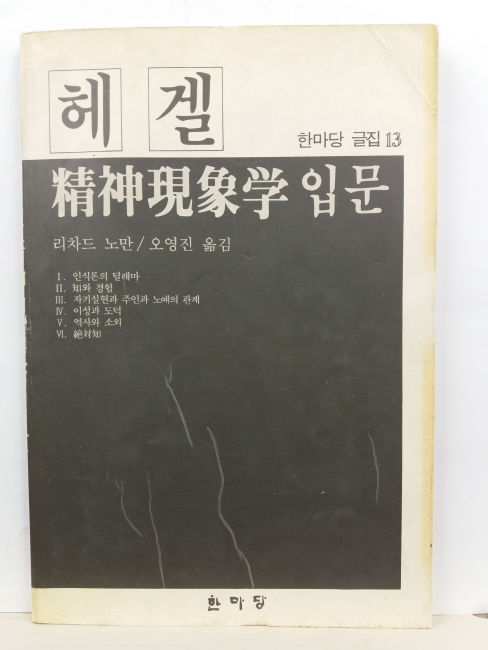 헤겔 정신현상학 입문