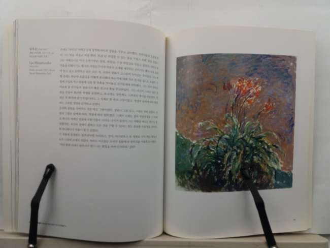 모네 : 빛의 화가 Monet