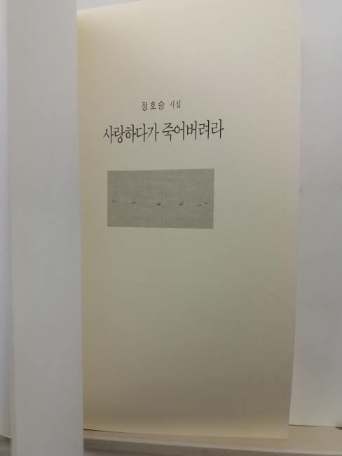 사랑하다가 죽어버려라 (정호승 시집, 1998초판)