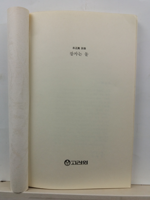 잠자는 돌 (박정만 시집, 1987)