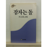 잠자는 돌 (박정만 시집, 1987)