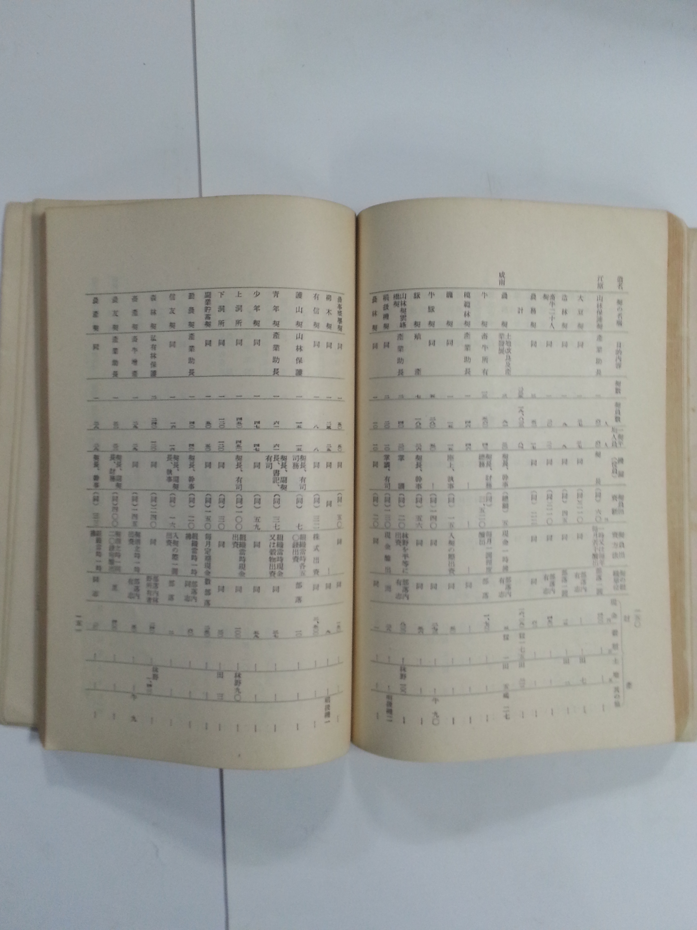 농산어촌의 계에 대하여 (1937년)