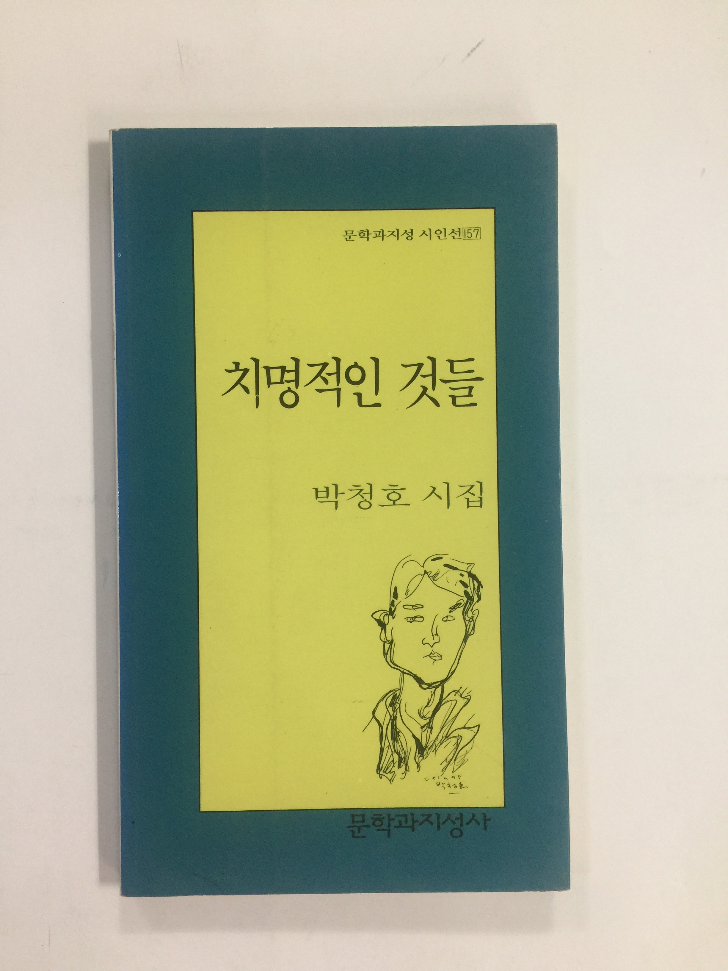 치명적인 것들 (박청호시집, 1995년초판)