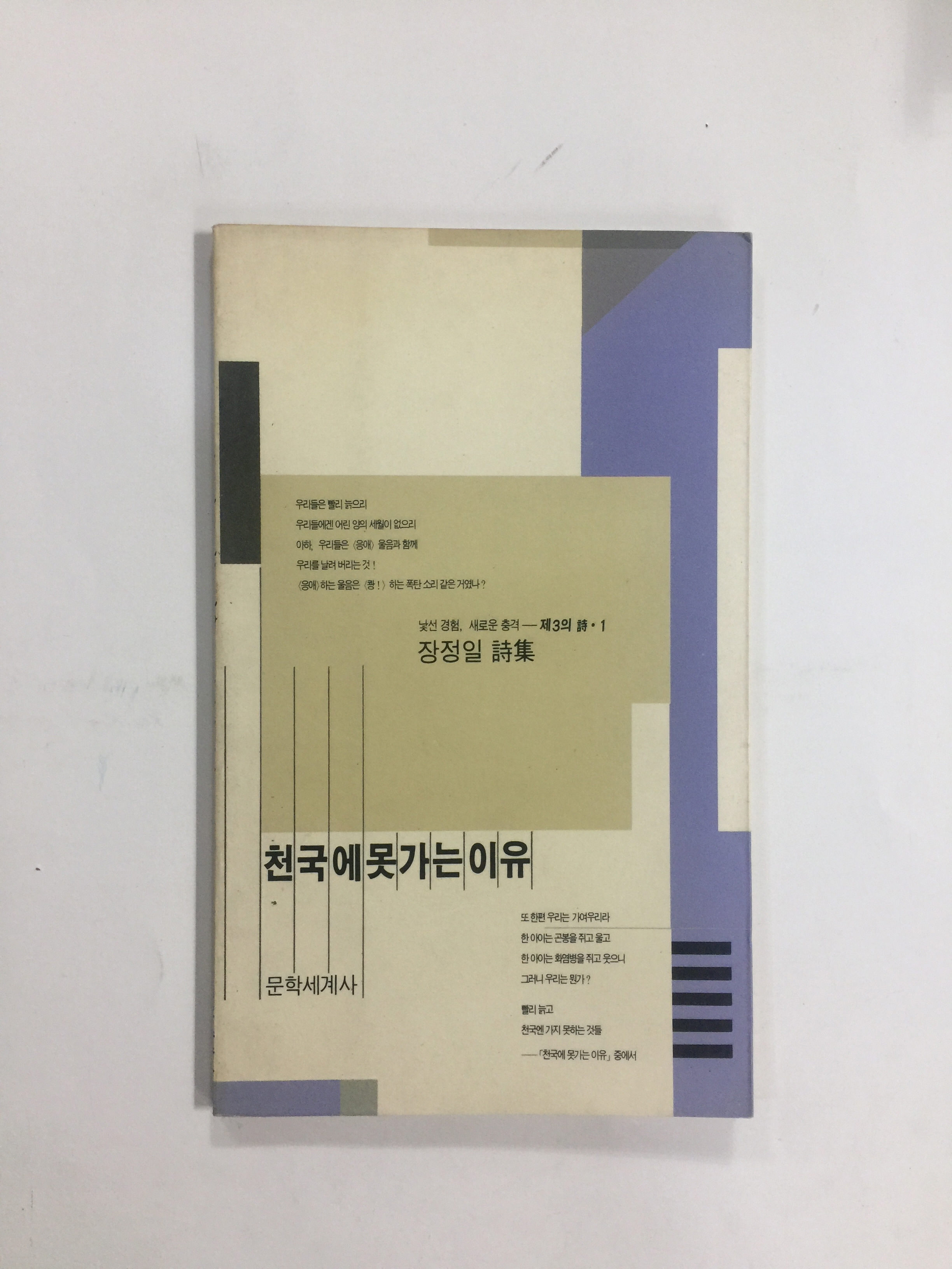 천국에 못가는 이유 (장정일시집, 1991년초판)